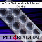 À Quoi Sert Le Miracle Léopard Du Miel 30
